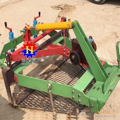 家庭農(nóng)場(chǎng)新利器 家用小型出蒜機(jī)的出現(xiàn)與實(shí)用價(jià)值分析